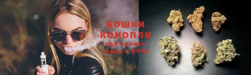 Каннабис White Widow  цена   omg онион  Жиздра 